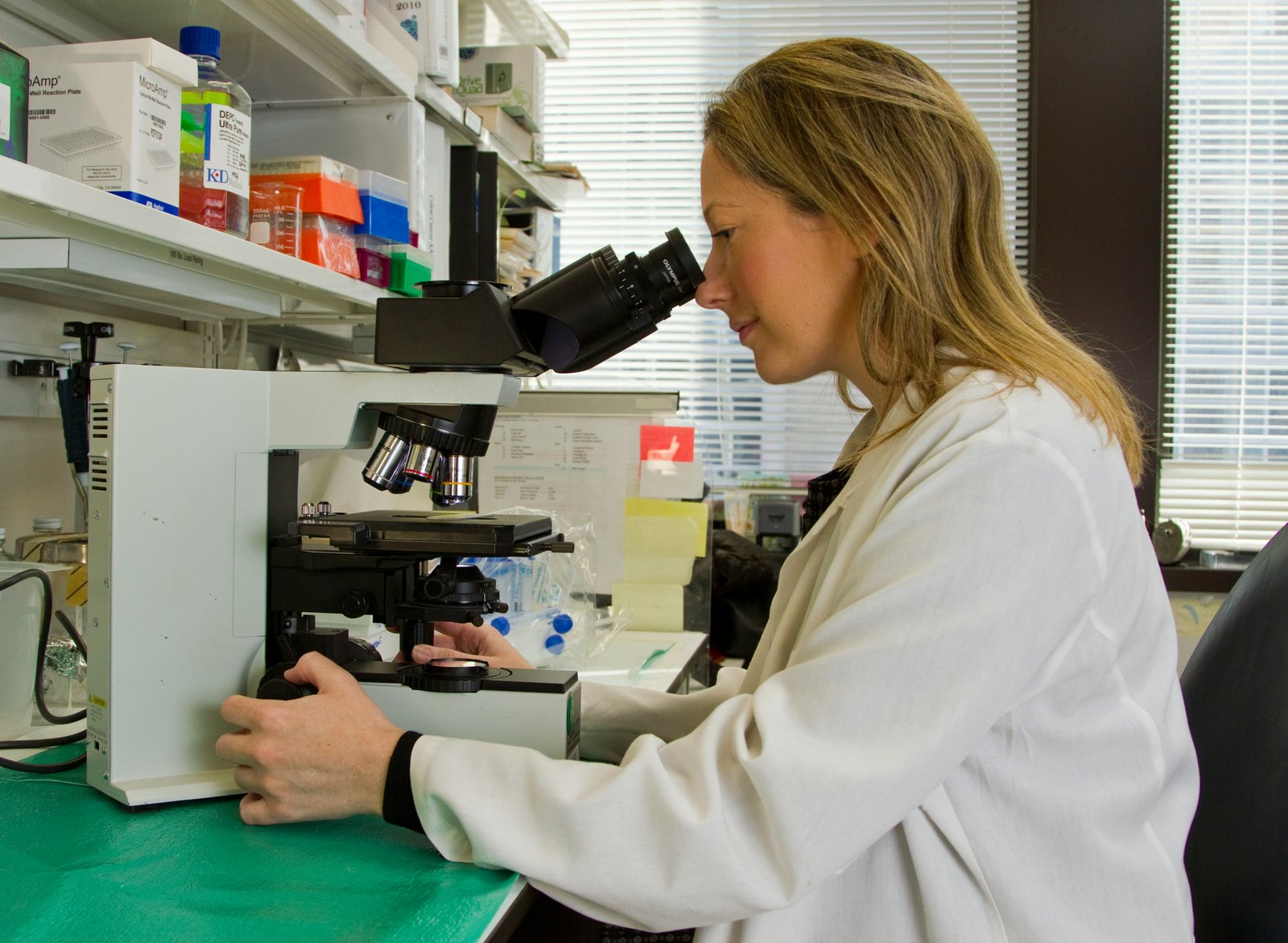 A woman in a white lab coat uses a microscope in a laboratory setting with shelves of colorful reagent bottles and supplies visible in the background.