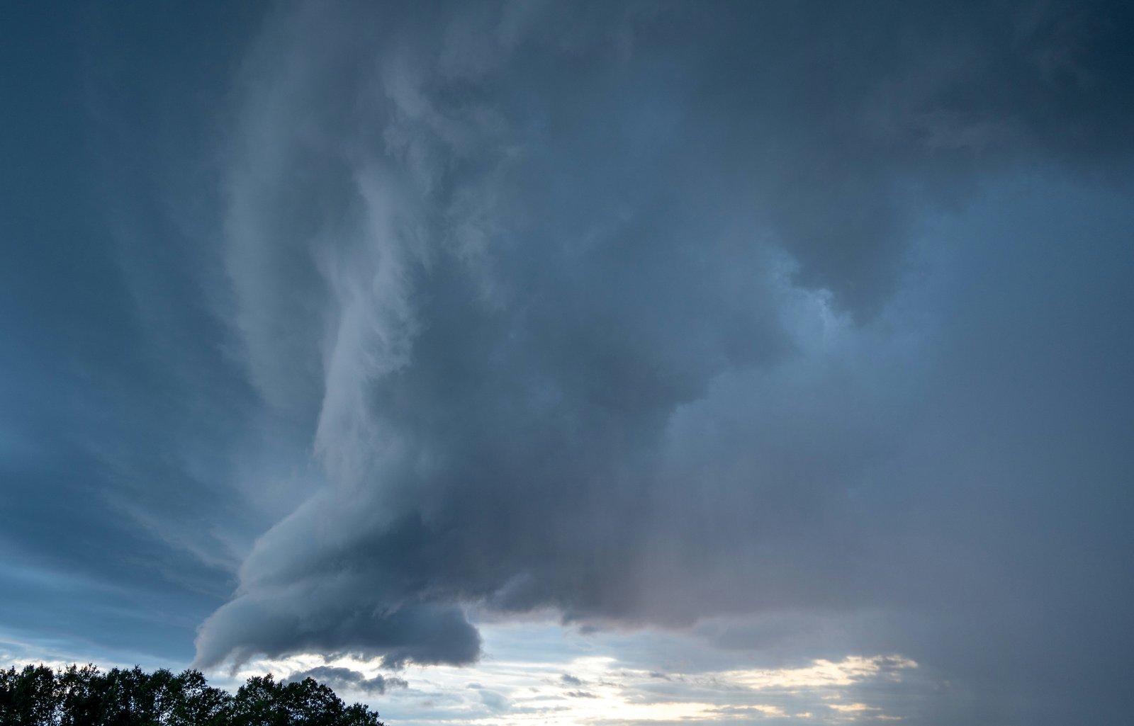 A dramatic thunderstorm with towering dark cumulonimbus clouds forming over a forested landscape beneath a stormy blue-grey sky during late afternoon or approaching sunset.