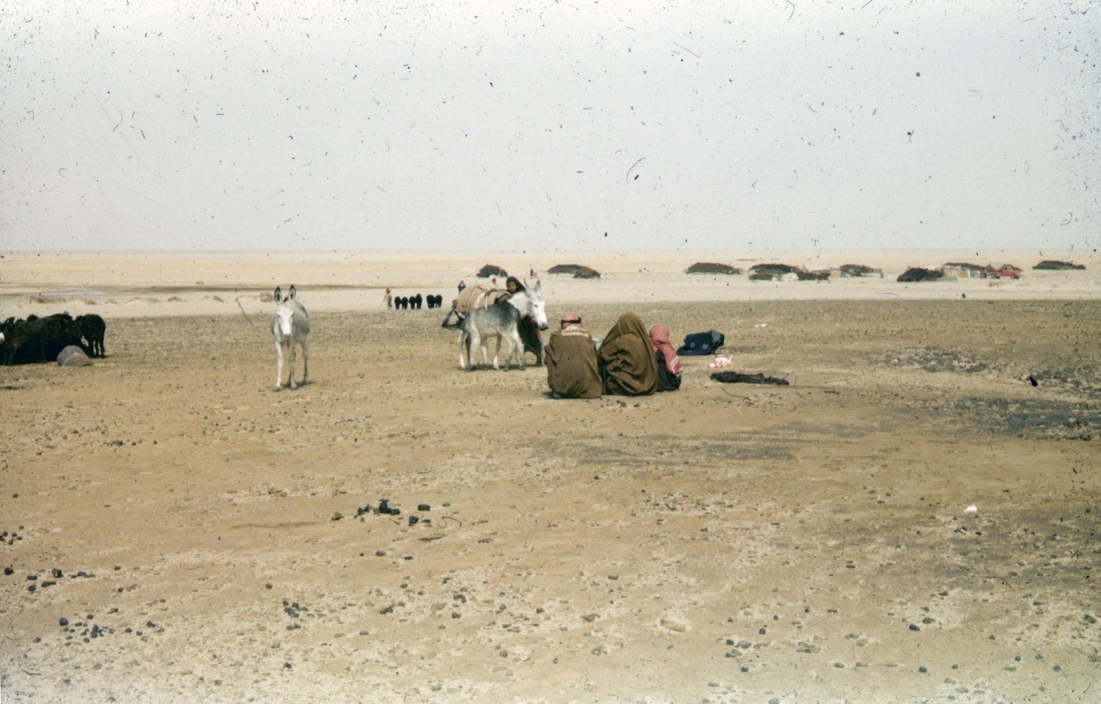 The archaeological landscape of Wolwekraal Nature Reserve (South Africa)