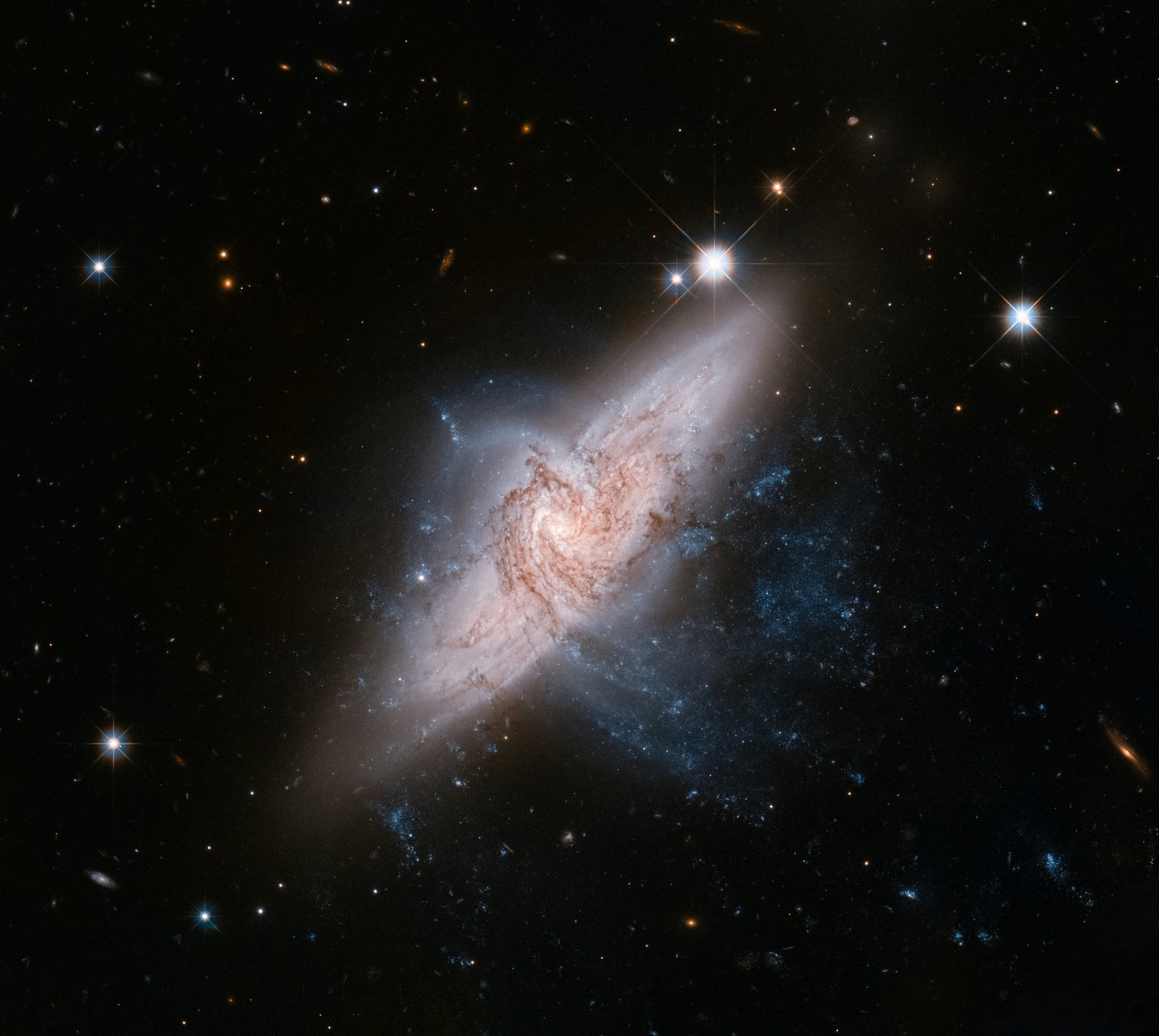 Black hole in cored plummer dark matter environment: Novel solution, light ring, shadow, lensing, lyapunov exponent, eikonal quasinormal modes and thermodynamics-phase transition