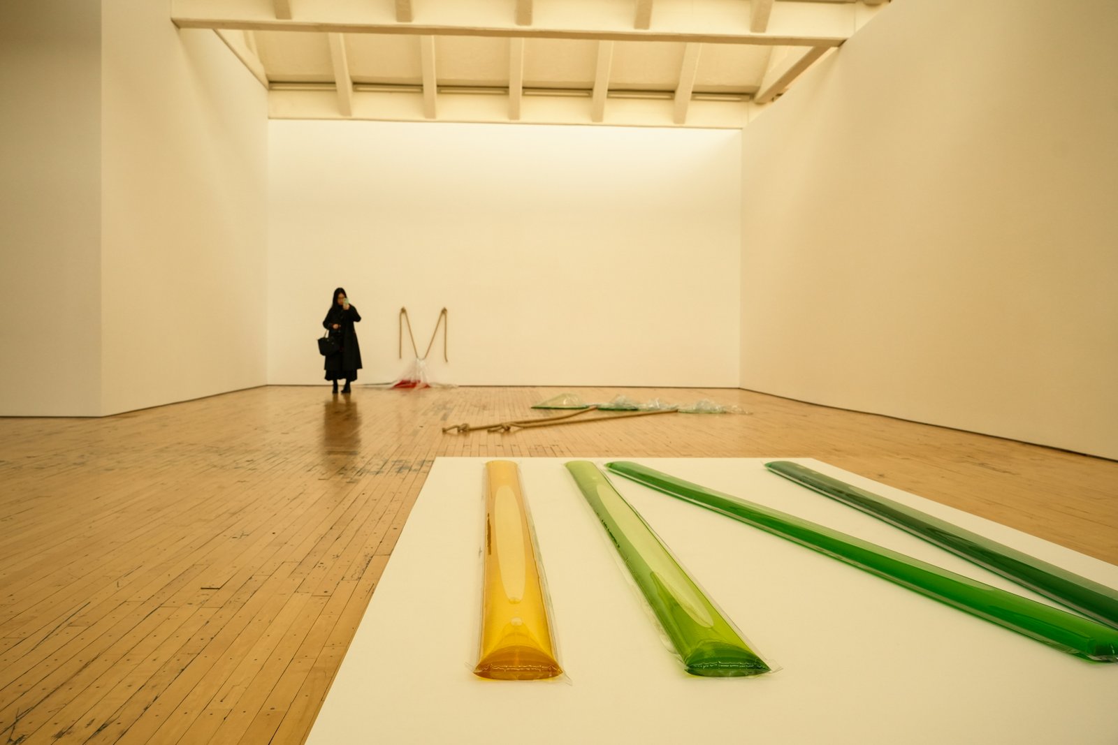 Beyond the green: Approaches and practices on the objectification of nature