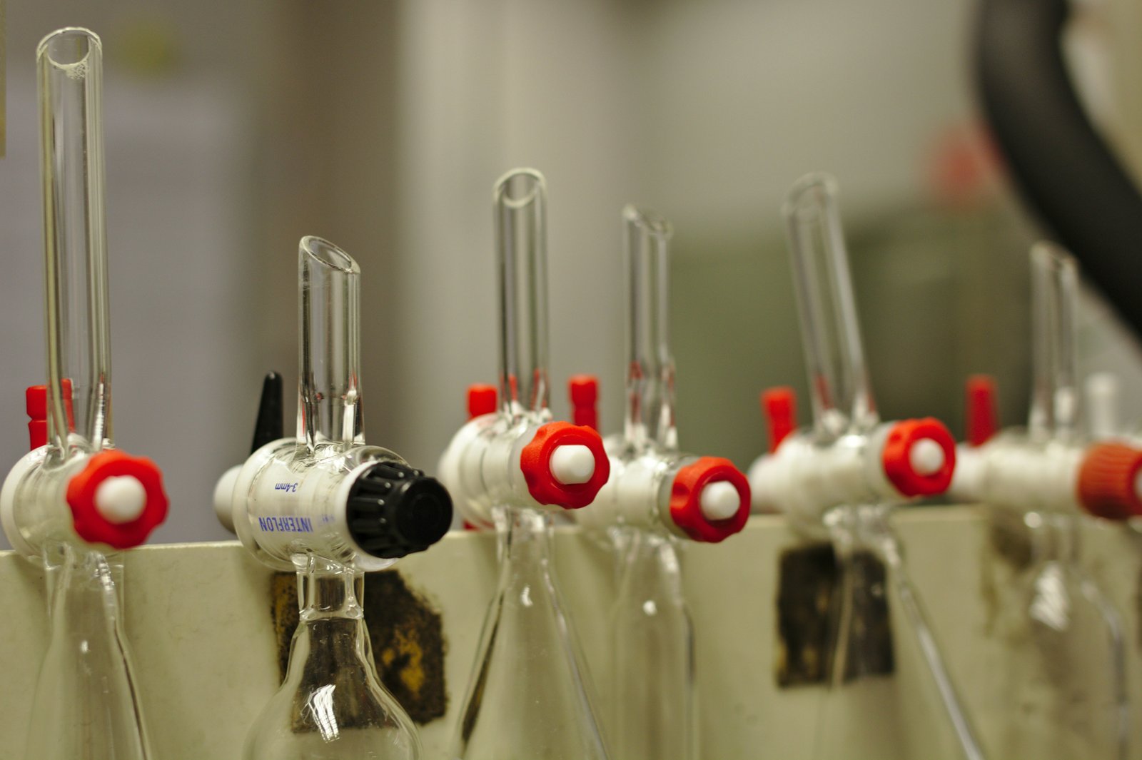 Multiple glass electrodes with red and black spherical markers suspended in a row over transparent laboratory containers, showing electrochemical measurement equipment in a laboratory setting.
