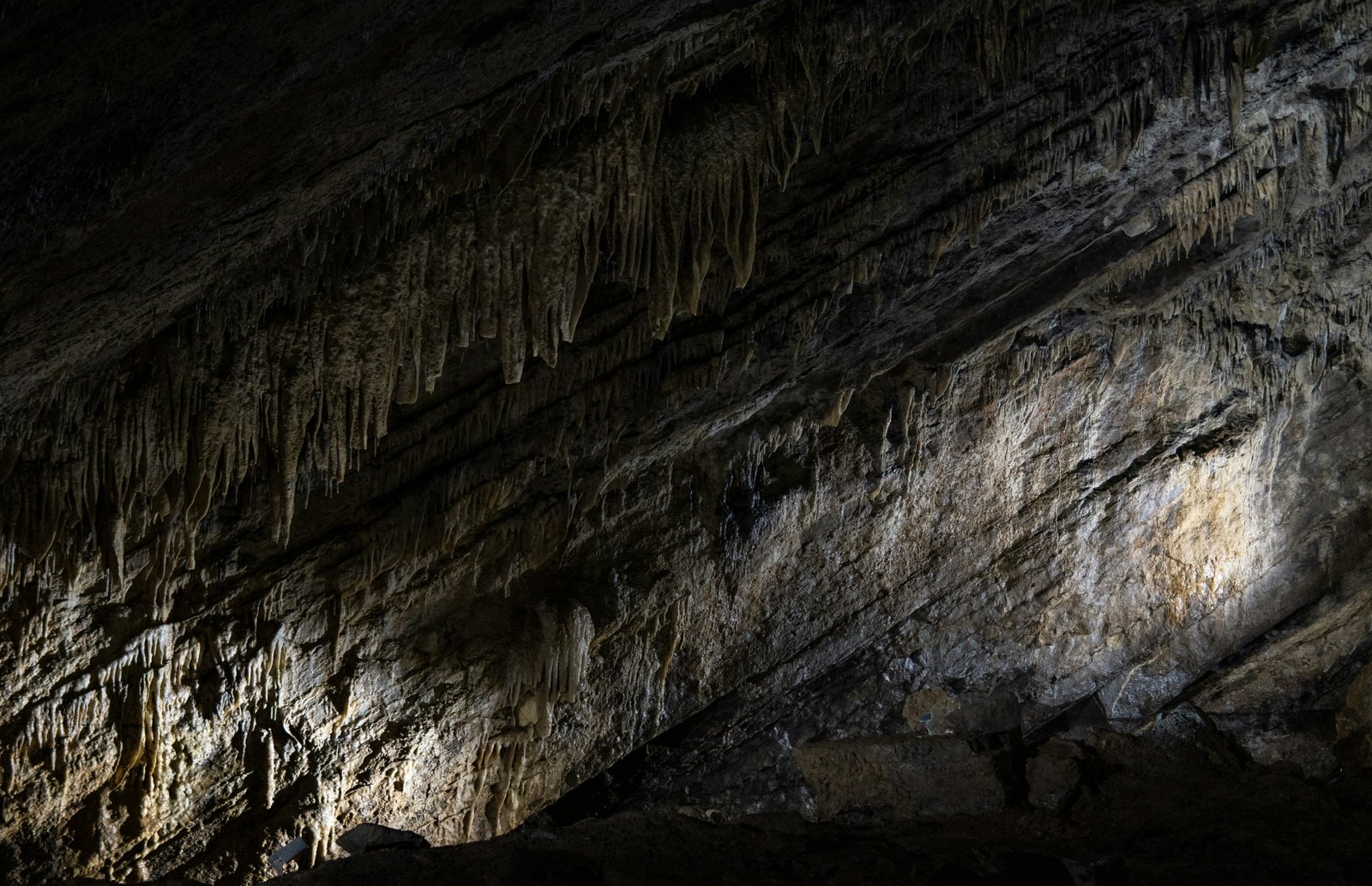 A close-up view of a cave ceiling and upper rock wall surface showing natural stone formations, stalactites, and layered geological stratification with varied coloring from dark to light mineral deposits and weathering patterns.