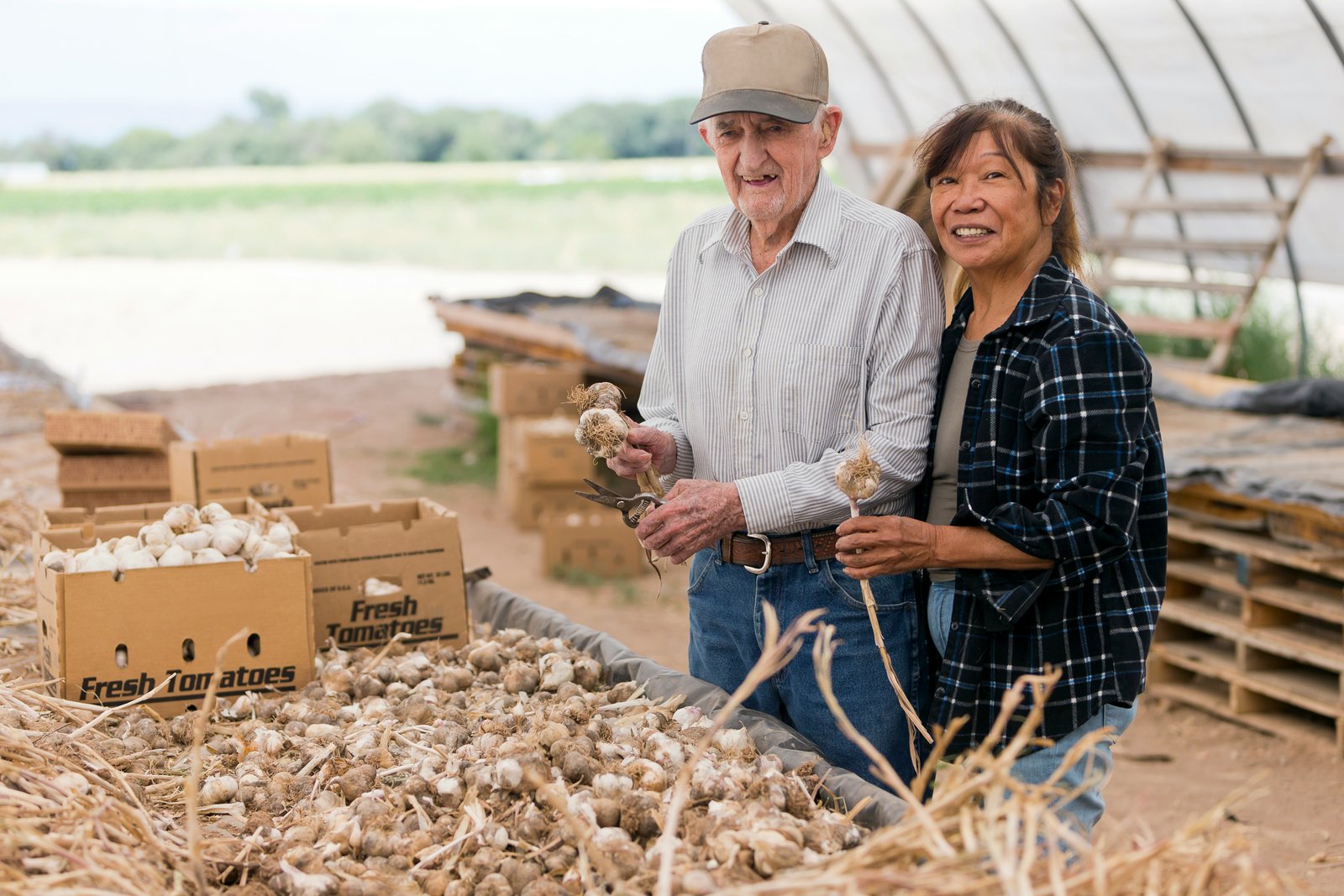 Two people examine garlic bulbs and plants in an outdoor agricultural setting with rows of plants visible in the background and a greenhouse structure, with stacked wooden crates and harvested garlic visible in the foreground.