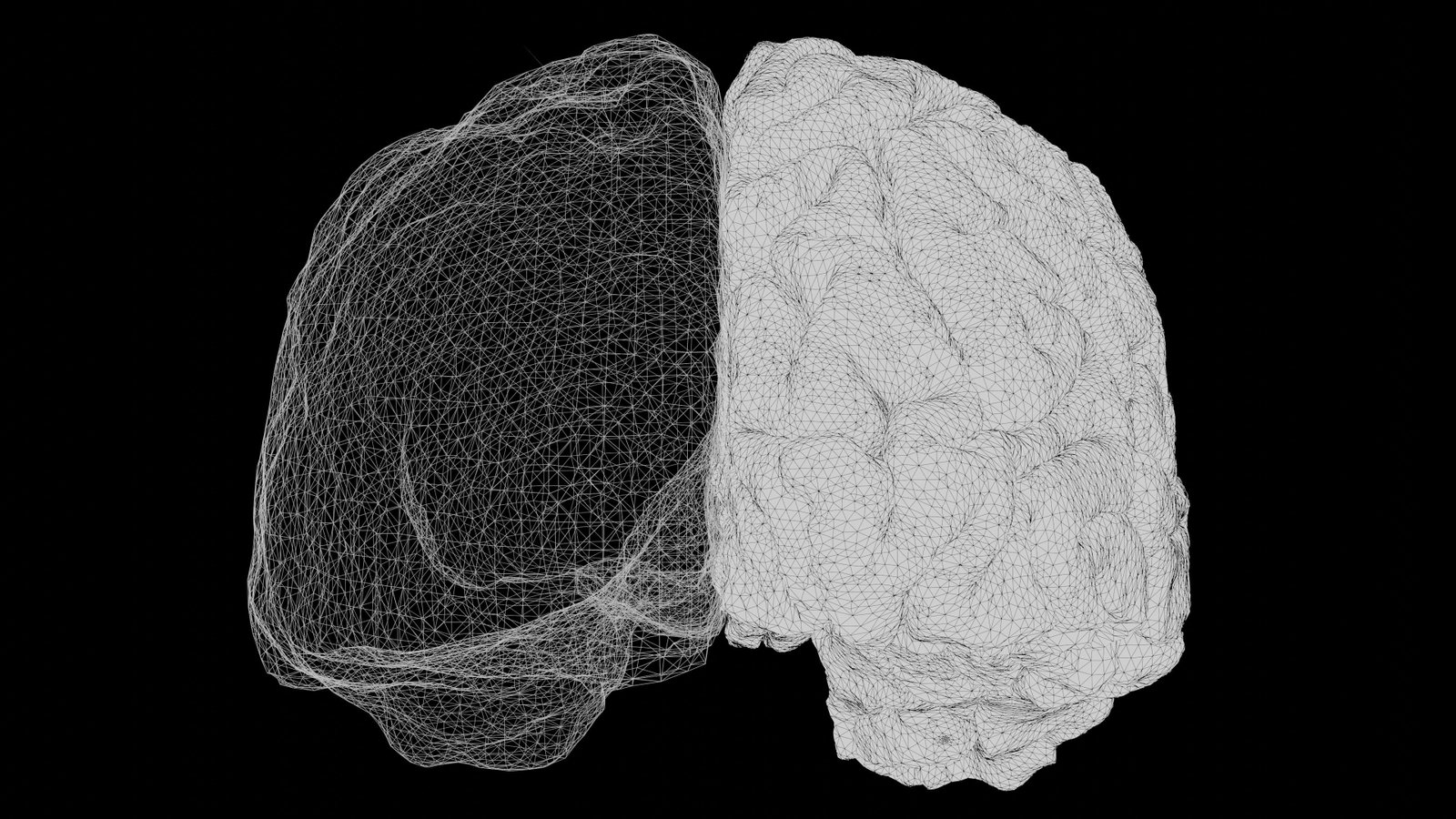 A split-view 3D rendering of a human brain shown from the side, with the left hemisphere displayed as a detailed mesh wireframe and the right hemisphere rendered in solid white, both set against a black background.