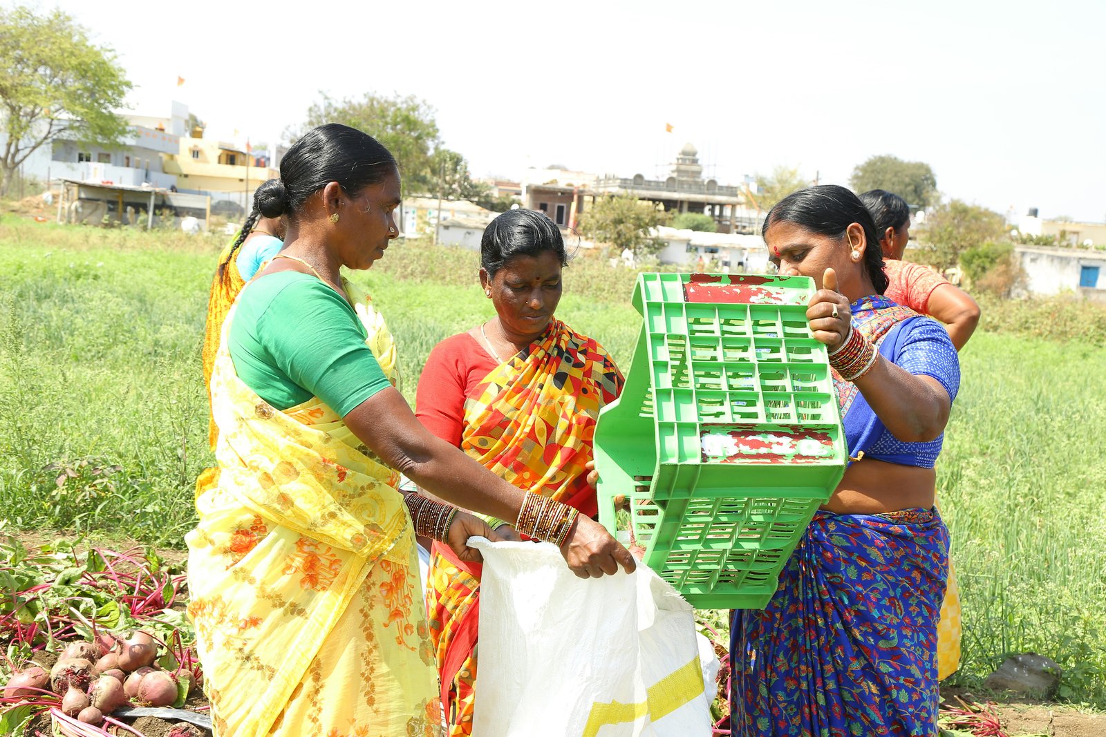 Conceptualising Supply Chain Resilience Within Social Enterprises