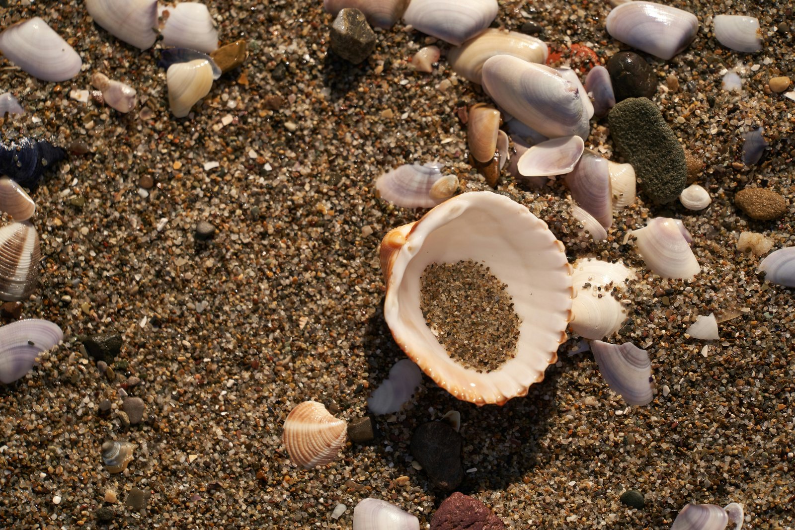 Forensic characterization and identification of mystery white blobs spilled on Newfoundland beaches