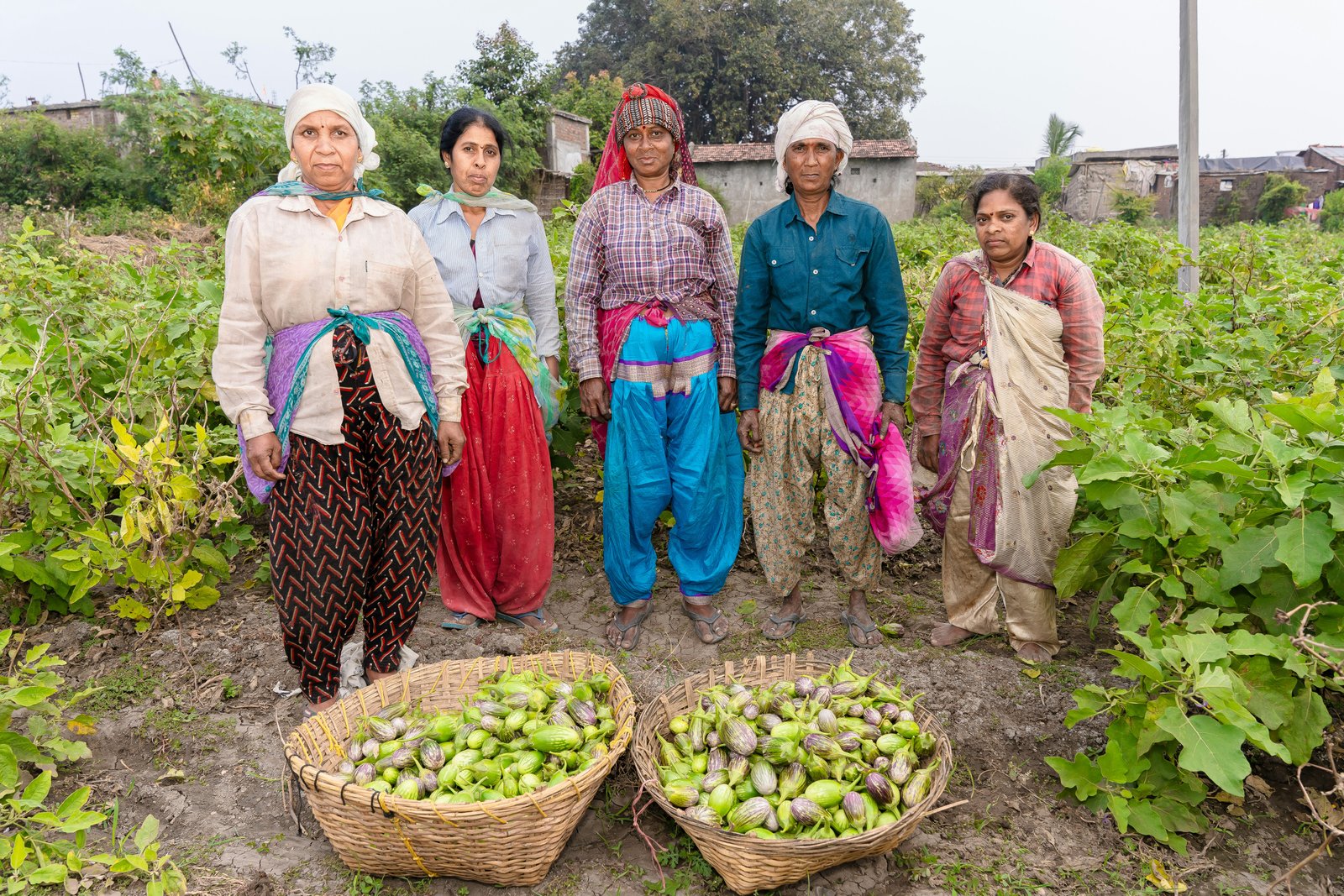 A Critical Analysis of Iran’s Rural Development Policies from the Perspective of Social Inclusion and Gender Equity