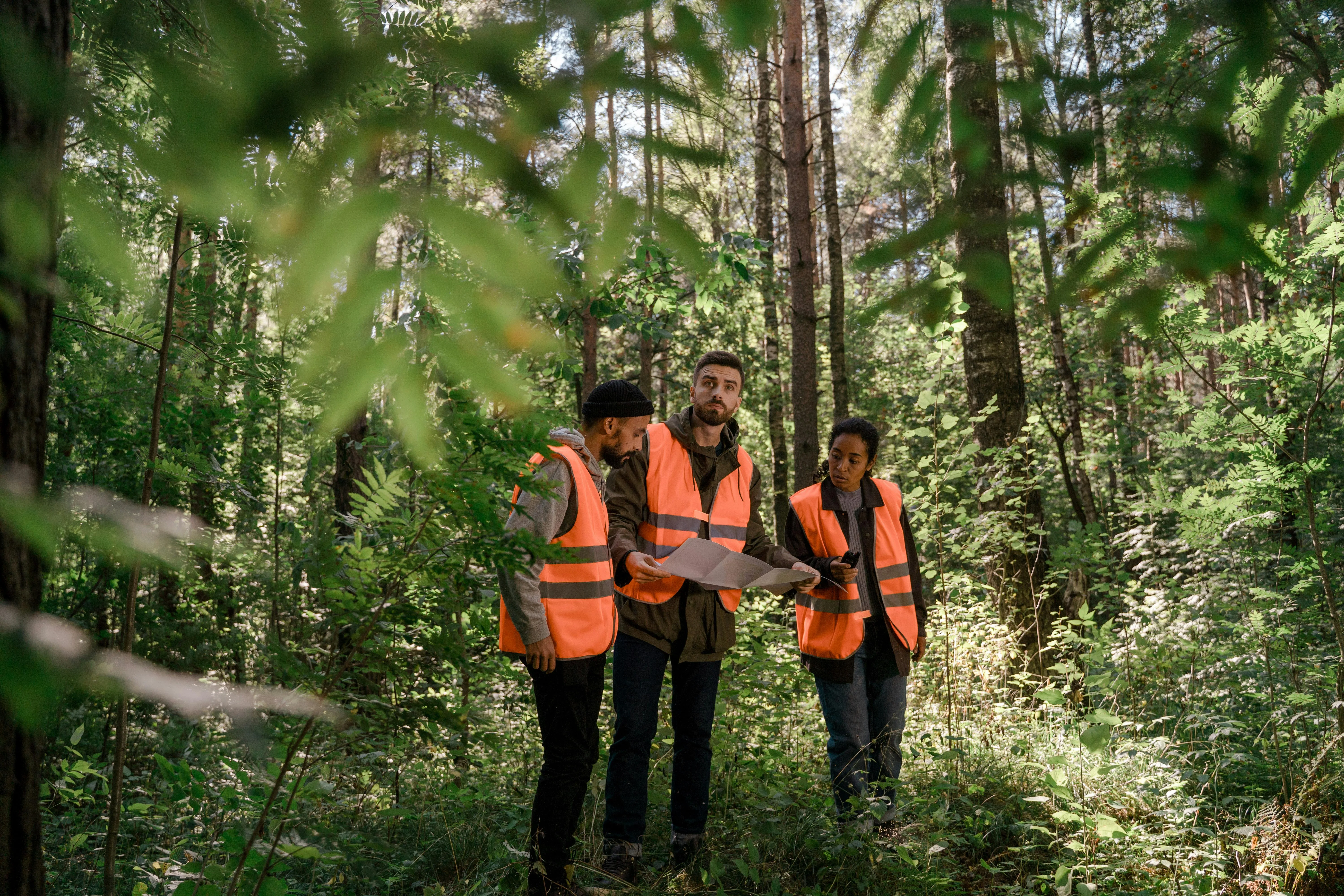 The Promise and Peril of On-Device AI for Conservation Work