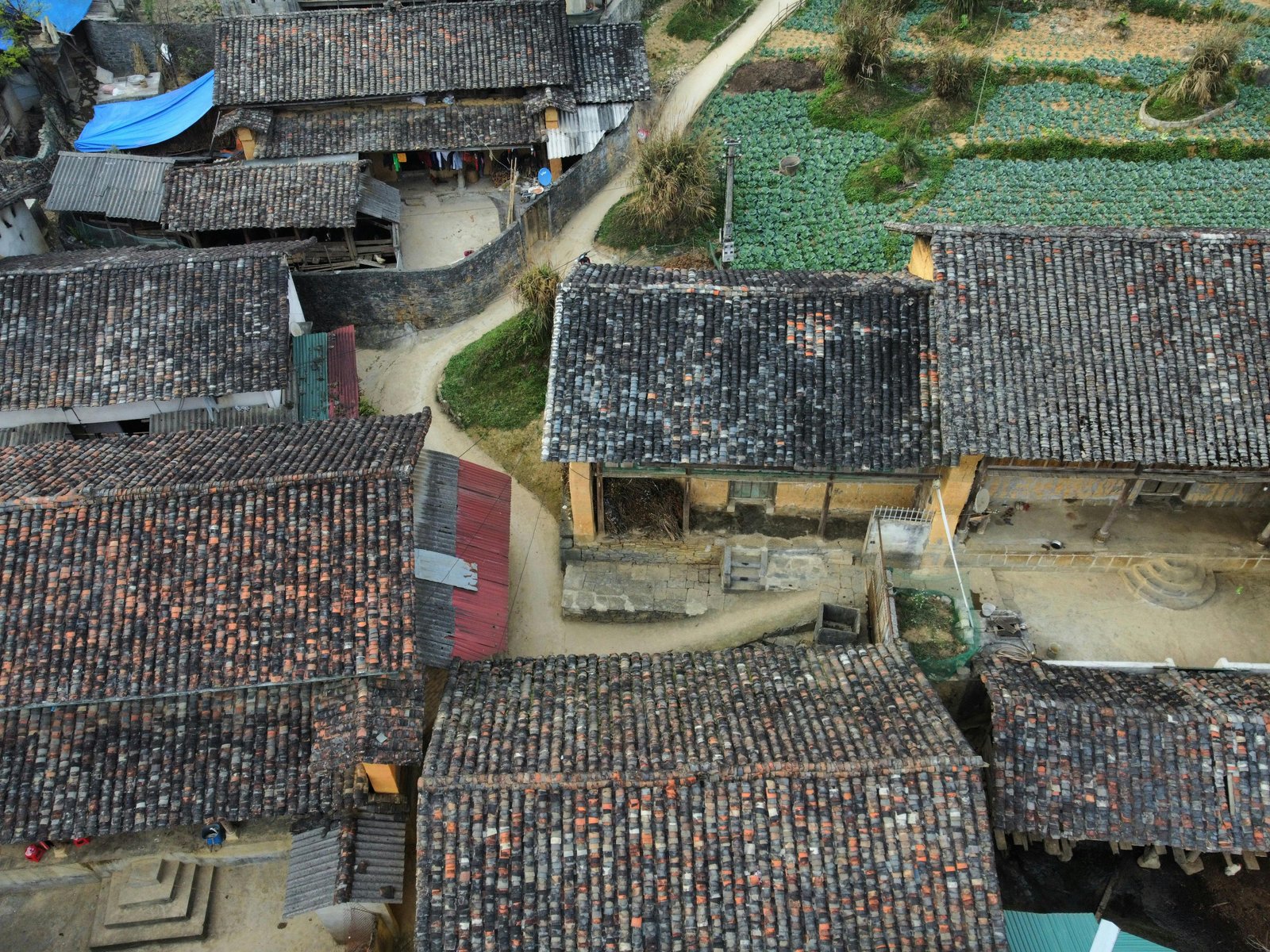 Spatial Differentiation and Obstacle Factors of Rural Resilience at the Village Scale: Empirical Evidence from Qianshan City, Anhui Province, China