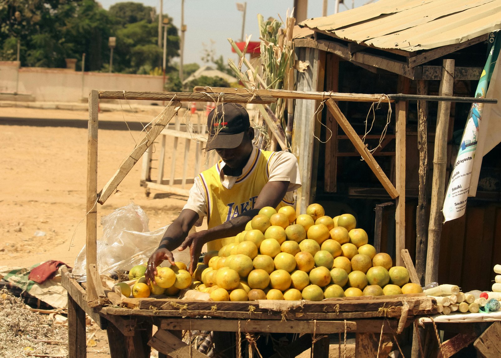 Forecasting household affordability with dynamic price monitoring in Lusaka, Zambia