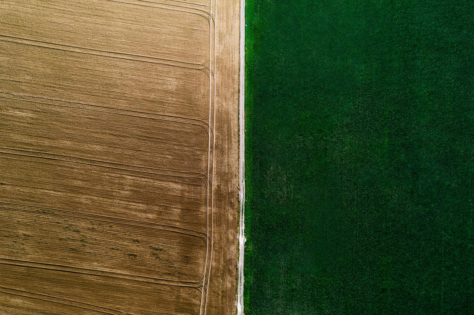 Status and Prospects of Agricultural Development in Western Ukraine