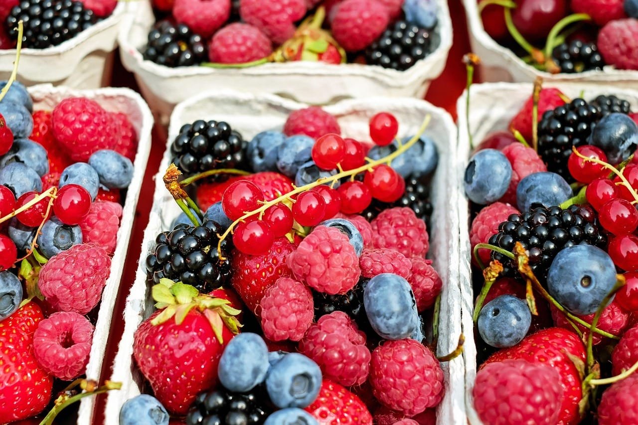 Redox Paradox of Polyphenols: Bioavailability, Hormesis, and Safety Concerns