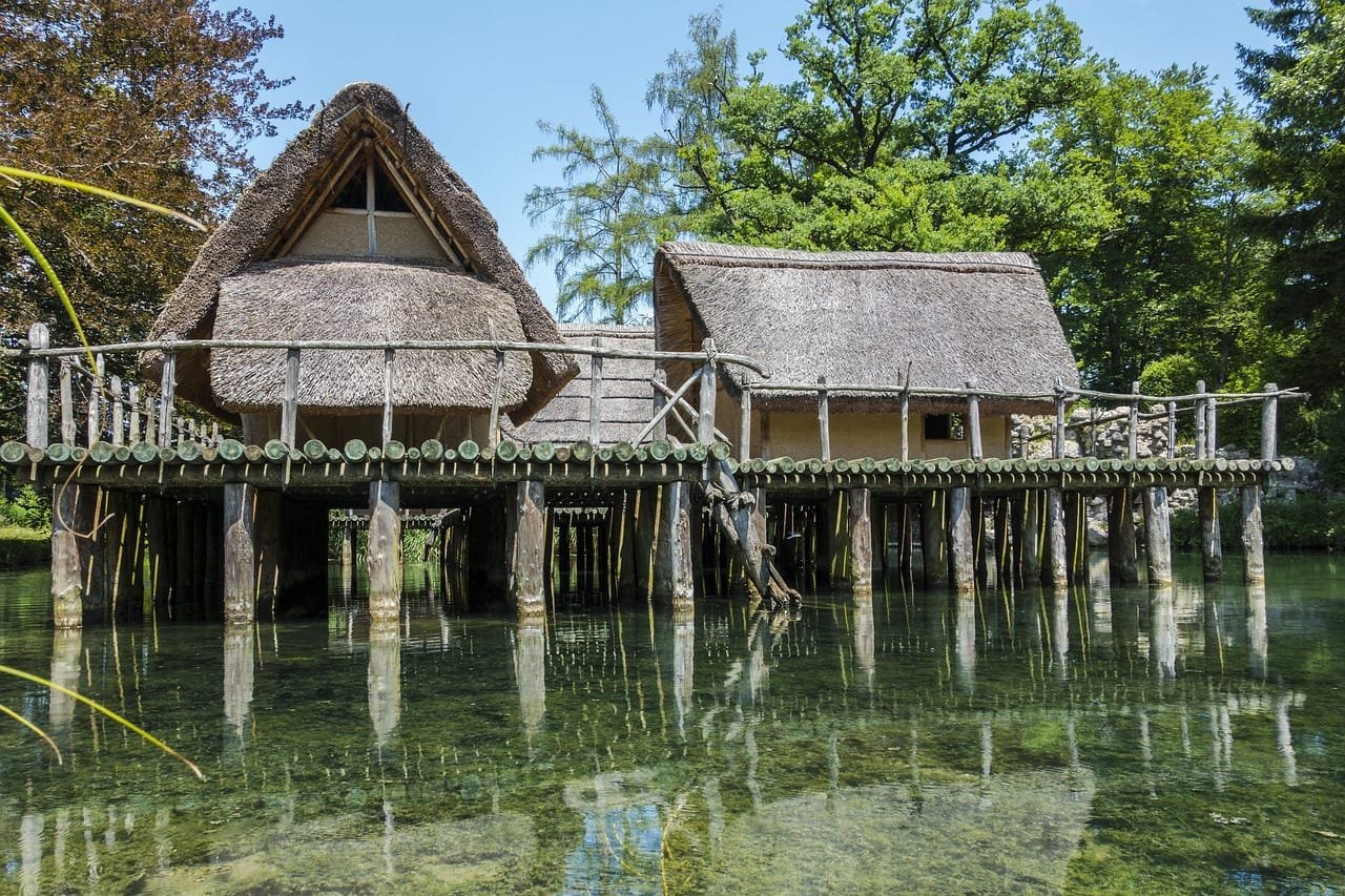 Ancient and modern genomes show Neolithic paternal expansions