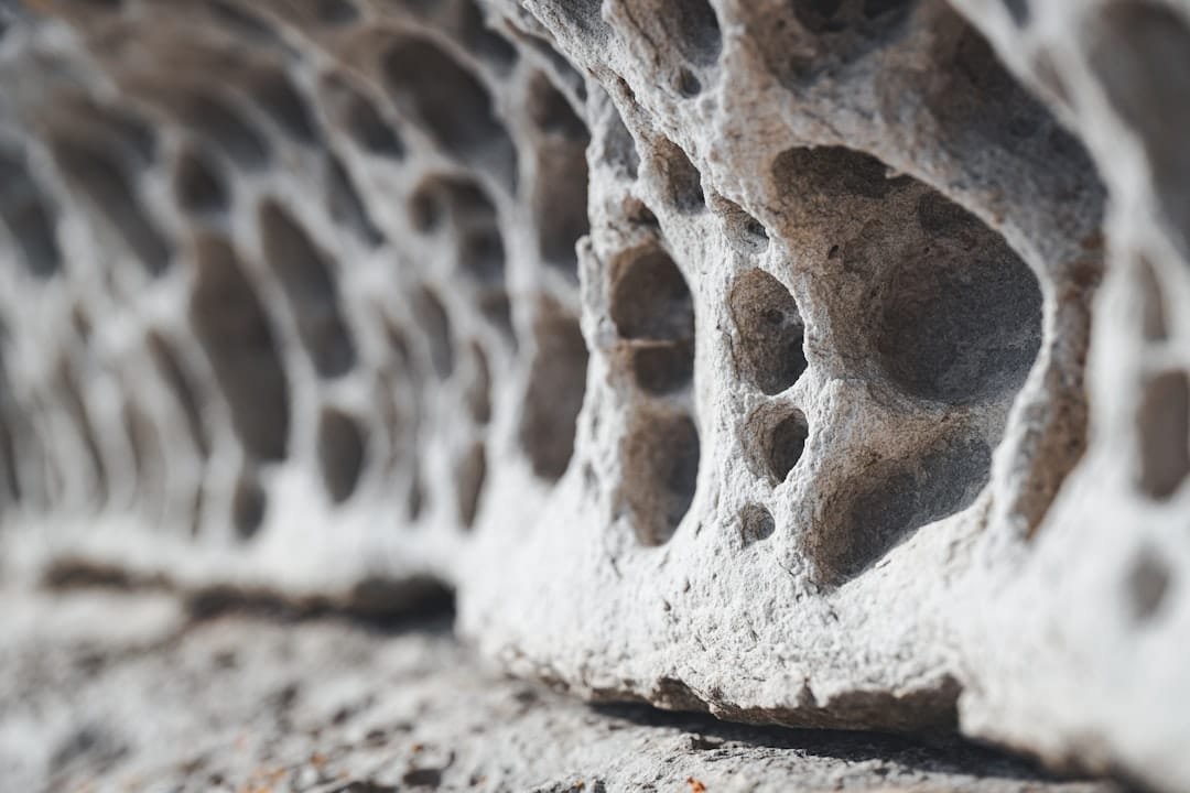Natural porous structures guide tougher biomimetic materials