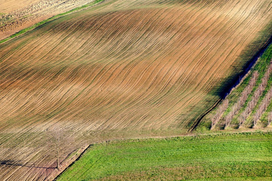 Care trips make up about 35% of daily travel in rural South Tyrol