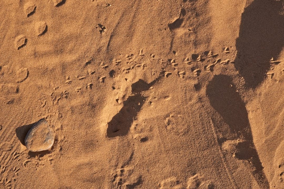 Physics and Astronomy research