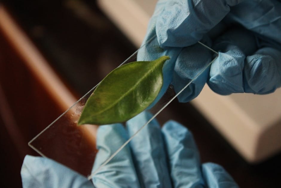 Agricultural and Biological Sciences research