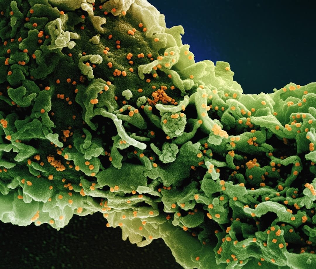 Biochemistry, Genetics and Molecular Biology research