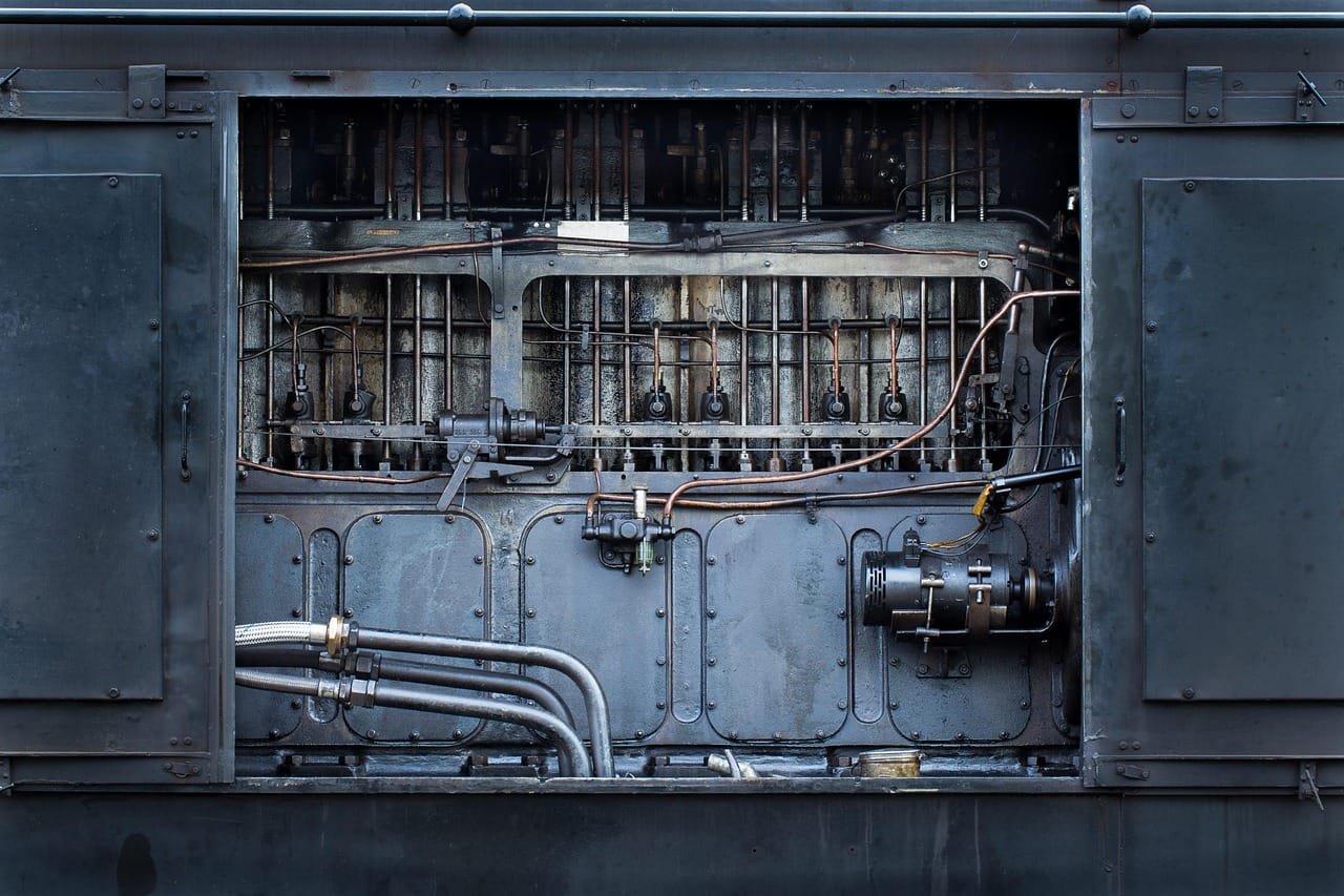 Canine amputees use distinct tripedal gaits