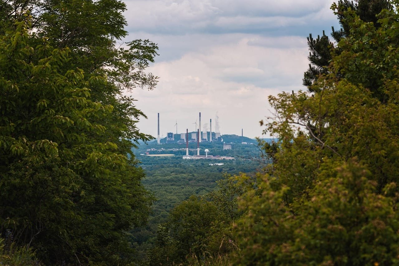 Crayfish trade in Kenya links foodways, race, and ecology