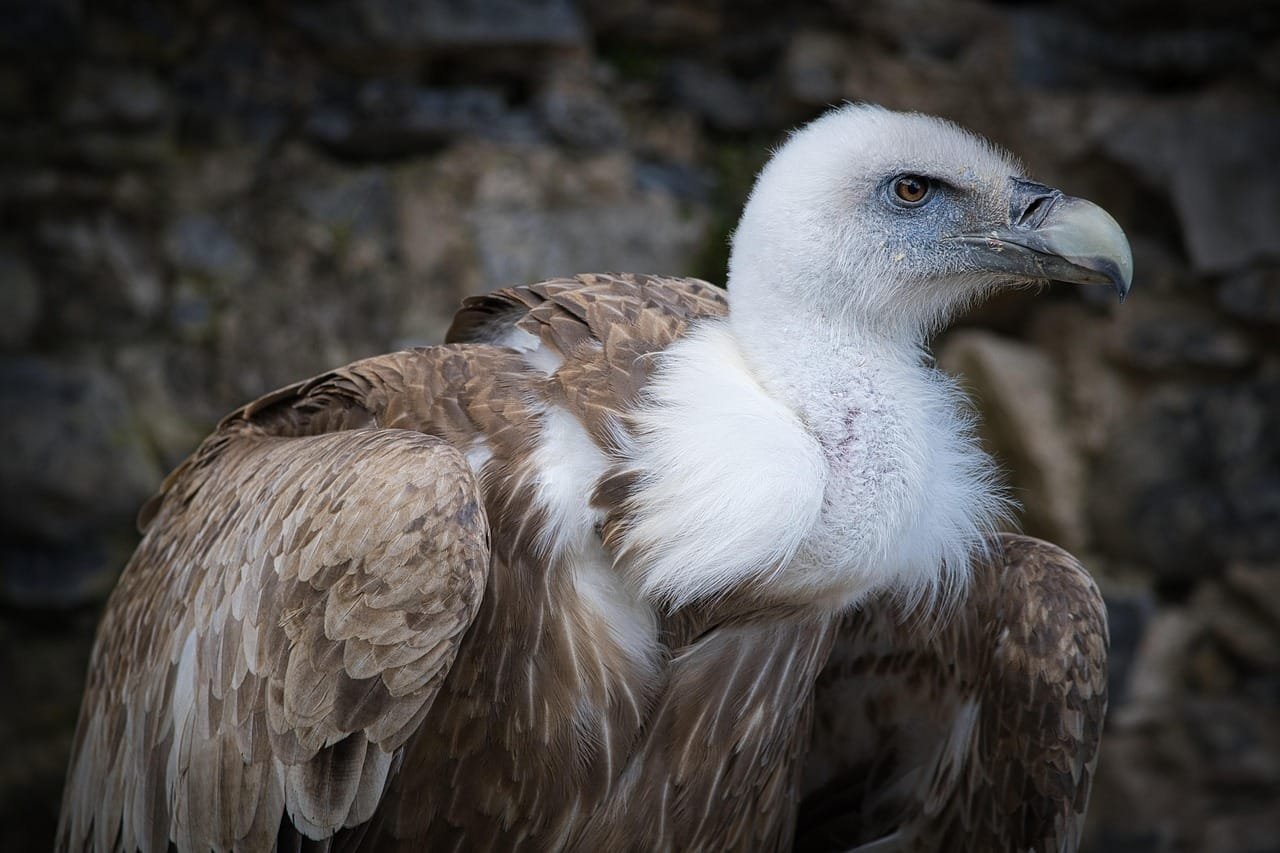 Mathematics research