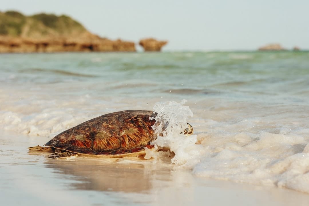 Environmental Science research