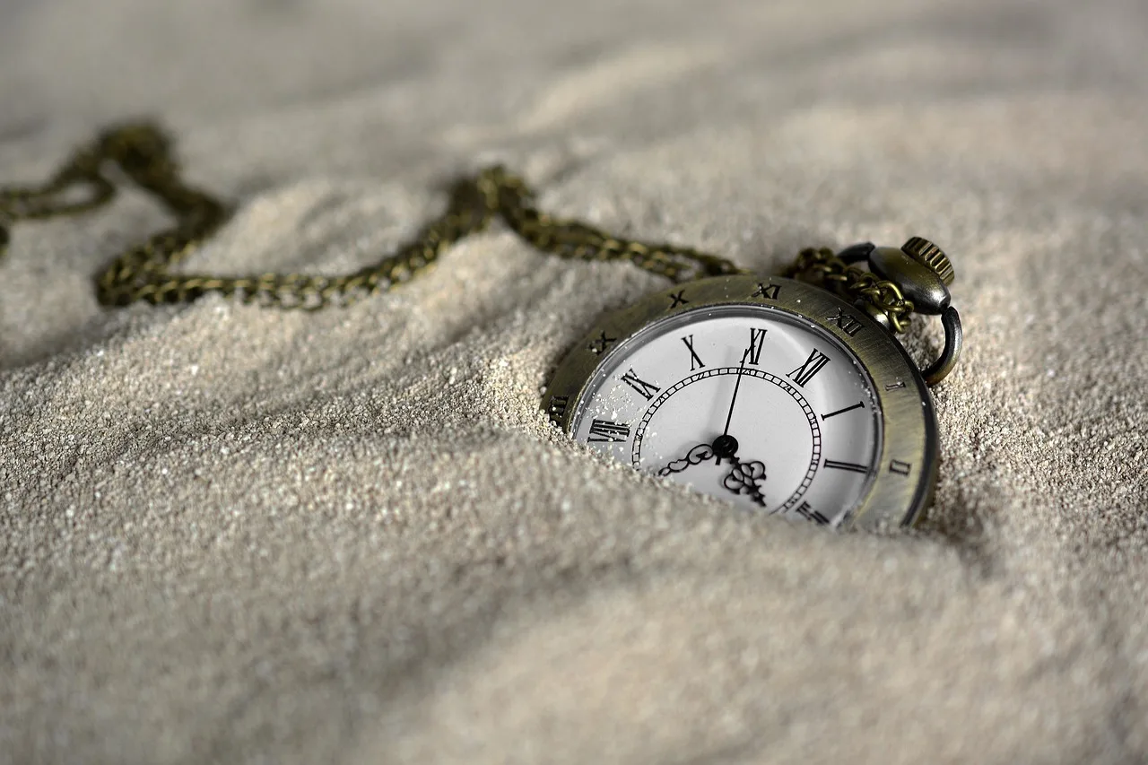 Willingness to wait varies with endogenous cortisol changes
