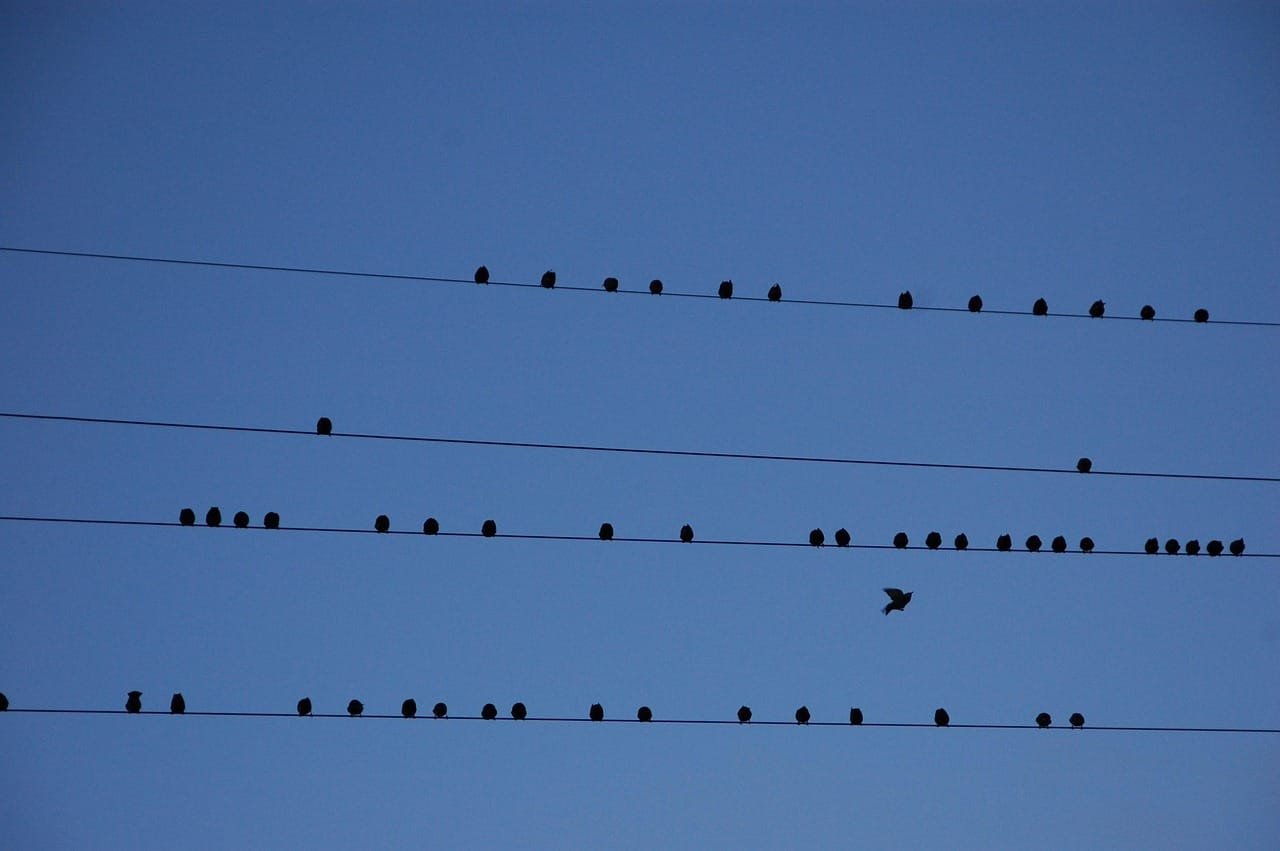 Combinatorial proofs established for remaining partition results