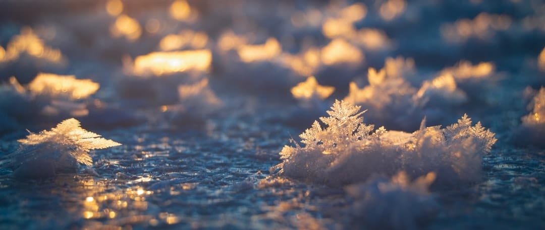 Ice crystal concentration is the main driver of aggregation rates