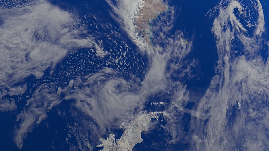 Fronts may host a distinct phytoplankton community