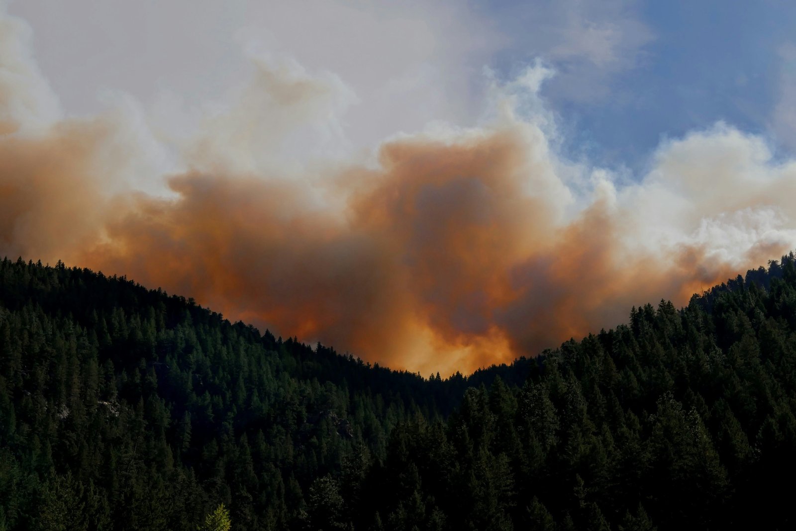 Has the fire weather index emerged? Insights from global and regional climate models