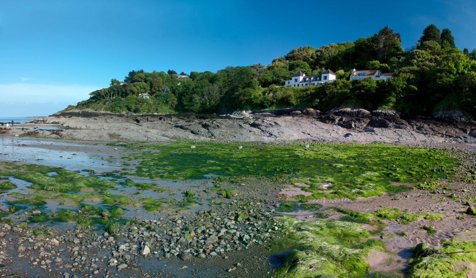 125 years of change: linking long term observations and network topology to reveal shifts in a coastal food web