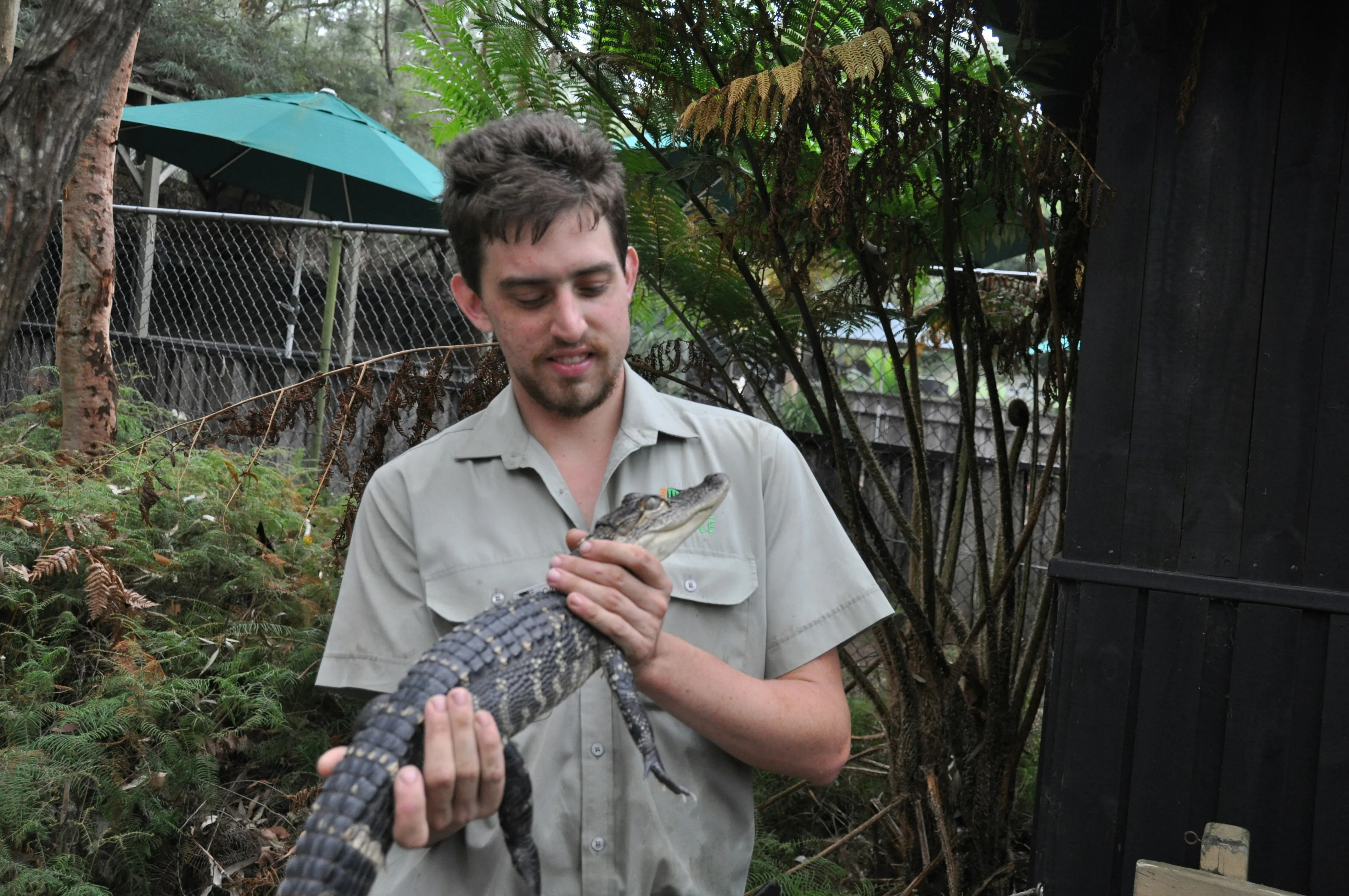 Two enzyme assays validated for stress monitoring in rehabilitated pangolins