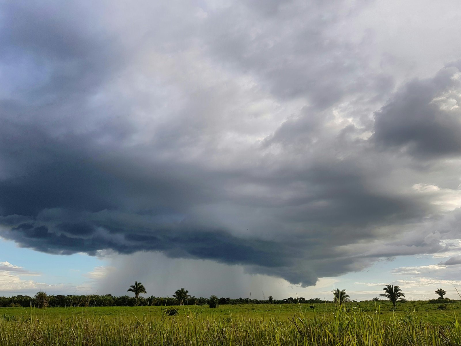 Downscaled Climate Projections for Rainfall Extremes and Drought in Pampanga River and Pasig-Marikina-Laguna-Lake Basin