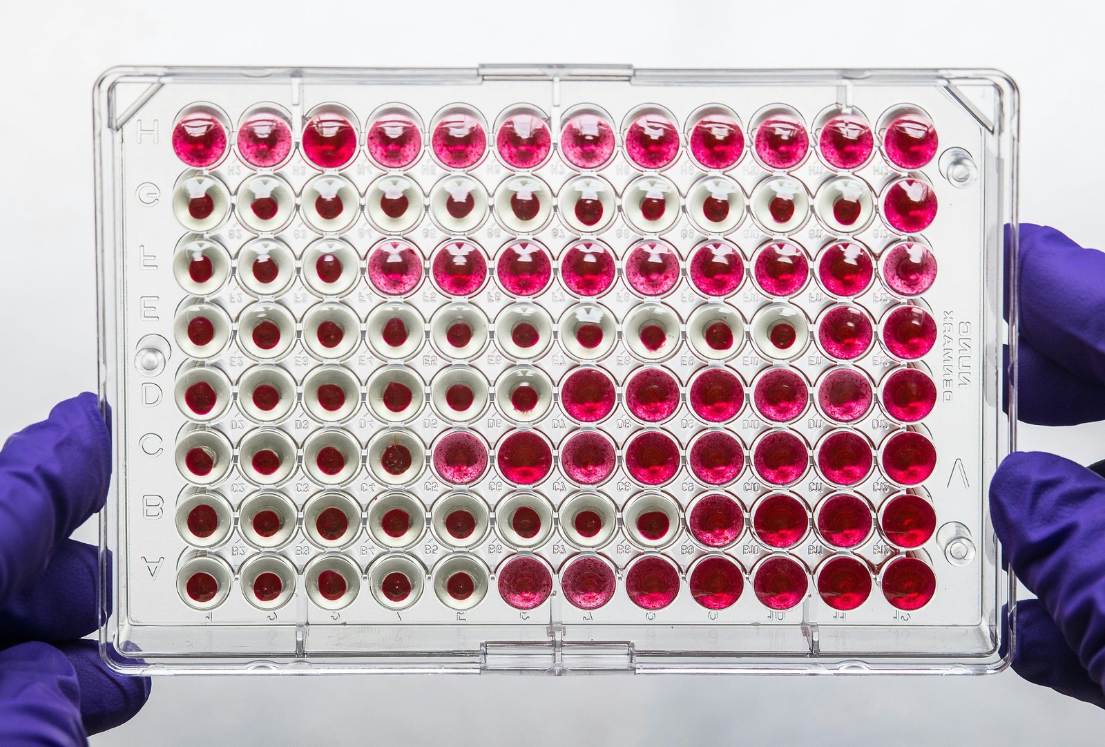 Development and Validation of a Stability-Indicating HPTLC Method for the Analysis of Gentamicin Sulphate in Pharmaceutical Ointments