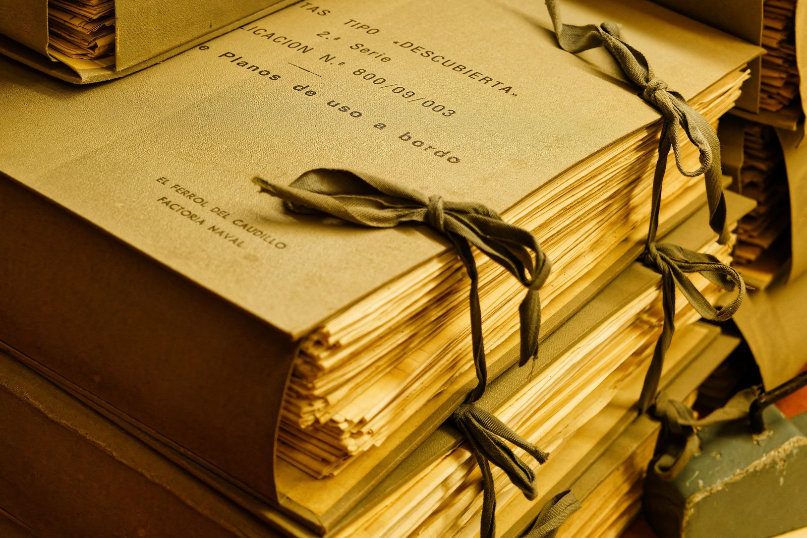 Interpreting ethnic German sentiment in Nazi-annexed Poland: a comparative analysis of underground and SS intelligence reports (1942–1944)