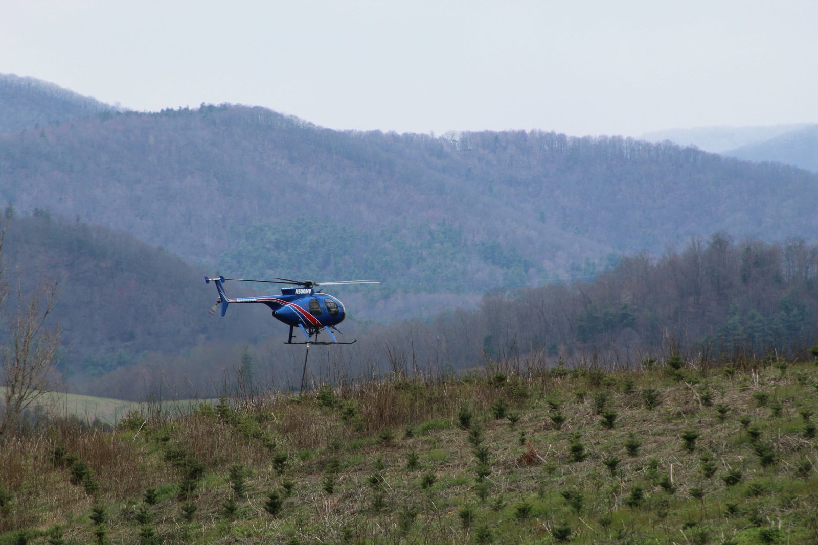 An assessment of thermal detection in aerial culling of feral deer and pigs in northern Australia