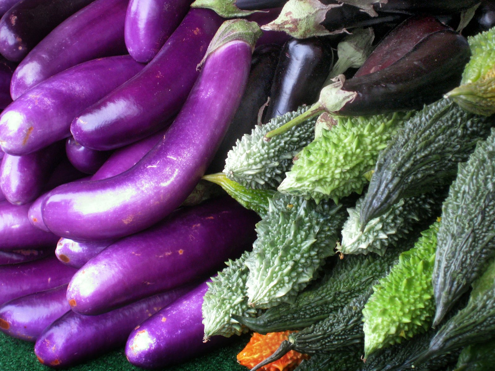 Beyond Zoocentrism: Enhancing Veganism’s Transformative Potential