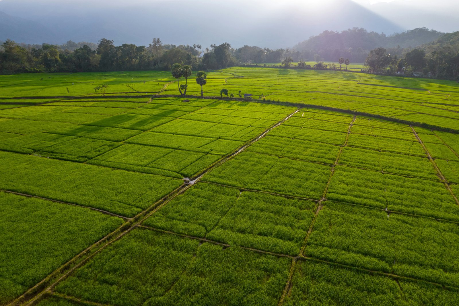 Optimising resources and localising sustainability through hierarchical village clustering in Nagpur Metropolitan Region, India