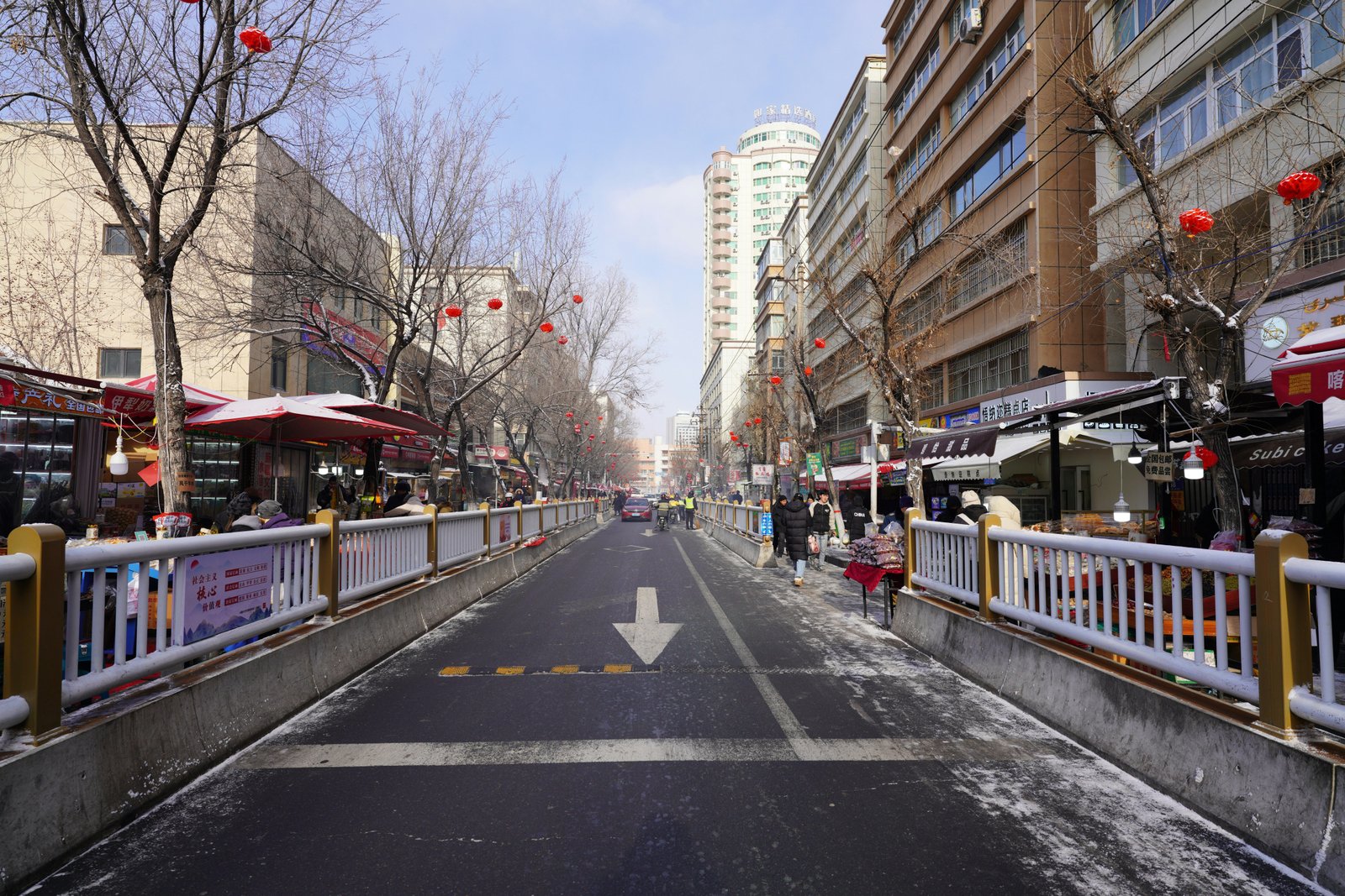 Modelling Adult Obesity in China From 1975 to 2016: A Comparative Analysis of Growth Curves and Time Series Approaches