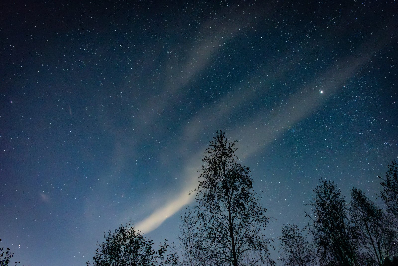 For the (Eternal) Life of the Whole World: The Cosmic Dimension of Theosis in the Orthodox Tradition