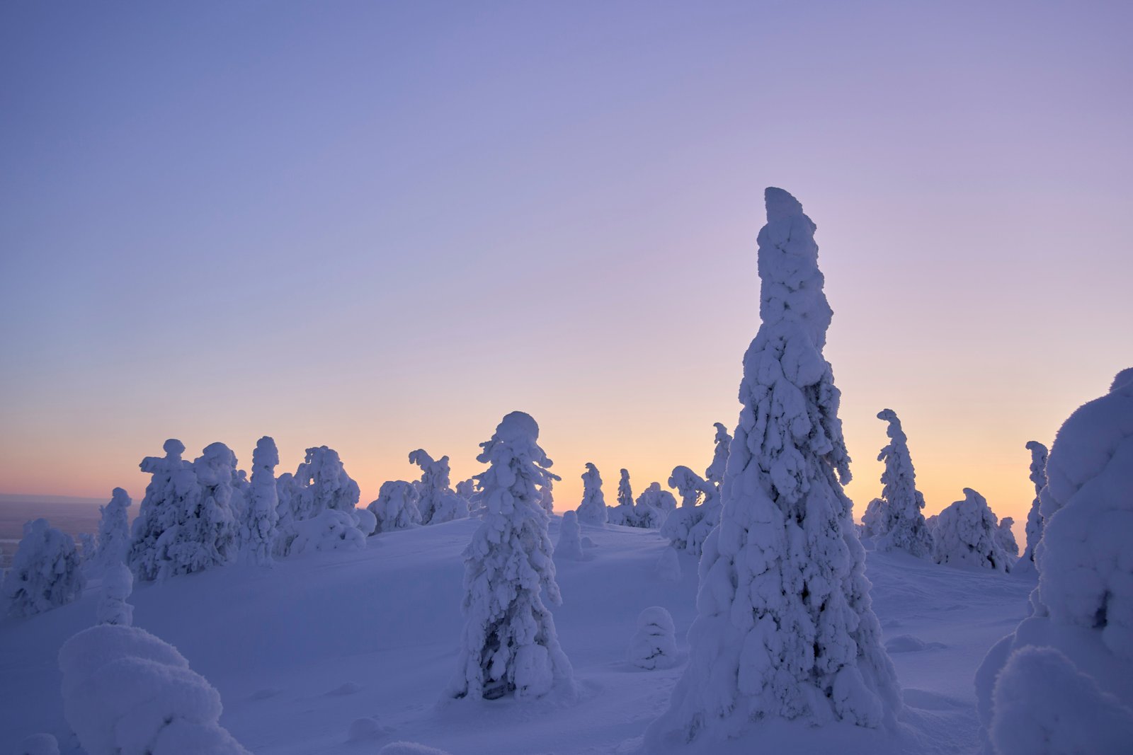 The role of hydrothermal processes in permafrost degradation on China’s Qilian Eboling Ridge